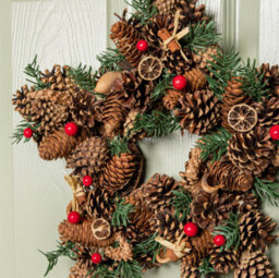 Samuel Alexander 35Cm Winter Spice Star Hanging Christmas Wreath With Pine Cones Red Berries & Dried Fruit - thumbnail 5
