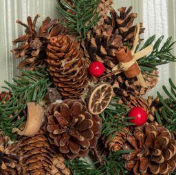Samuel Alexander 35Cm Winter Spice Star Hanging Christmas Wreath With Pine Cones Red Berries & Dried Fruit - thumbnail 7
