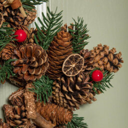 Samuel Alexander 35Cm Winter Spice Star Hanging Christmas Wreath With Pine Cones Red Berries & Dried Fruit - thumbnail 6