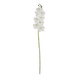 Wyld Haus Set Of 3 Tall White Butterfly Orchid Stems 1030mm Artificial Flowers - thumbnail 1