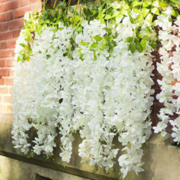 24Pcs Artificial Fake Hanging Silk Flowers Wisteria Vine Plant Garden Home Decor - thumbnail 5