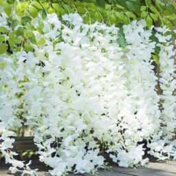 24Pcs Artificial Fake Hanging Silk Flowers Wisteria Vine Plant Garden Home Decor - thumbnail 4