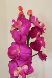 Garden Market Place Artificial Plants - 1M Tall Artificial Orchid Plant - thumbnail 1