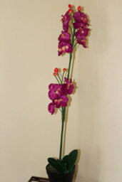Garden Market Place Artificial Plants - 1M Tall Artificial Orchid Plant - thumbnail 2