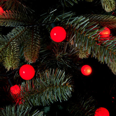 240 Red Mixed Berry Led String Lights With Timer Function Green Cable