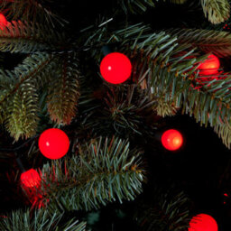 240 Red Mixed Berry Led String Lights With Timer Function Green Cable - thumbnail 1