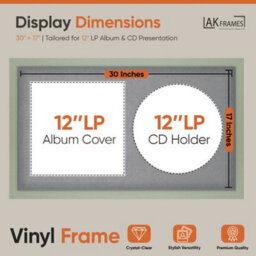 "30X17"" Green Modern Vinyl Record Frame With Mid Grey Mount For 12 Inch Lp Album Cover & Disc - Ak Frames" - thumbnail 2