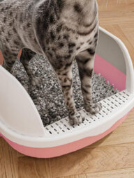 Vivo Cat Litter Tray Open Top High Rim Plastic Box With Scoop 48 X 40 X 20Cm - Pink - thumbnail 5