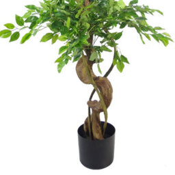 Leaf Artificial 150Cm Twisted Trunk Japanese Fruticosa Ficus Tree Silver Planter - thumbnail 2
