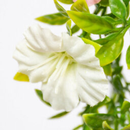 Primrose Artificial Petunia Flowers Rattan Hanging Basket Decoration Pink Purple & White 25Cm - thumbnail 7