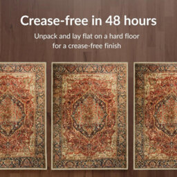 Imperial Rooms Homeware Soft Pile Small Rug Living Room Rugs Anti Slip Doormat Rug Kitchen Rugs Majestic 40X60Cm - thumbnail 4