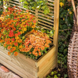 Primrose Wooden Trough Planter 90Cm X 40Cm With Venetian Style Trellis 1.8M - thumbnail 2