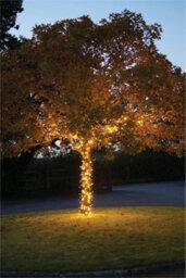 Eagle Connect Cluster Lights Black Rubber Ip65 Copper Gold 30M - thumbnail 8
