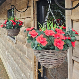 Best Artificial Red Azalea Flower With Rattan Wicker Hanging Basket For Indoor Or Outdoor Use