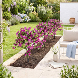 Costway 2 Pack Bougainvillea Artificial Trees Fake Bougainvillea Silk Floral Plants - thumbnail 5