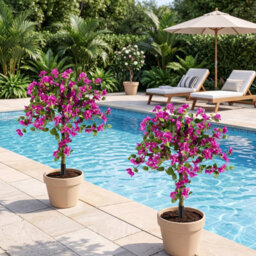 Costway 2 Pack Bougainvillea Artificial Trees Fake Bougainvillea Silk Floral Plants - thumbnail 3
