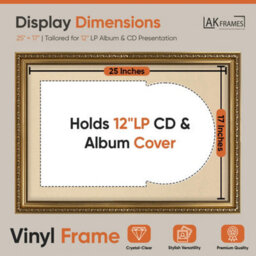 "AK Frames 25X17"" Gold Ornate Vinyl Record Frame With Ivory Mount For 12 Inch Lp Cover & Disc - Overlapped Design" - thumbnail 2