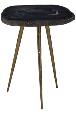 Orsina Relic Side Table With Petrified Wood Top And Brass Finish Legs - image 1