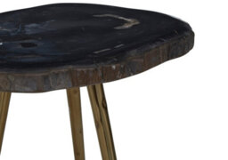 Orsina Relic Side Table With Petrified Wood Top And Brass Finish Legs - thumbnail 4