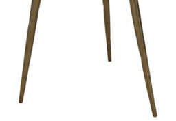Orsina Relic Side Table With Petrified Wood Top And Brass Finish Legs - thumbnail 5
