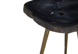 Orsina Relic Side Table With Petrified Wood Top And Brass Finish Legs - thumbnail 3