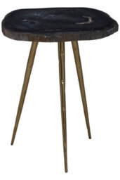 Orsina Relic Side Table With Petrified Wood Top And Brass Finish Legs - thumbnail 1