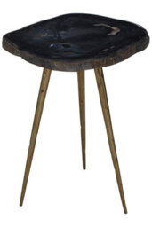 Orsina Relic Side Table With Petrified Wood Top And Brass Finish Legs - thumbnail 2