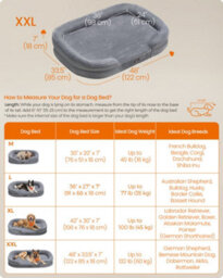 LEDREM Dog Bed, Dog Cushion, For Extra Large Dogs, 122 X 85 X 20 Cm, Orthopedic, Waterproof Inner Layer, Raised Edges, Removable - thumbnail 6