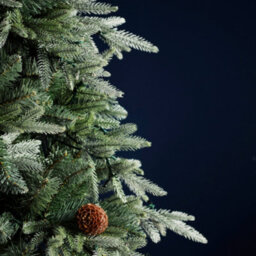 QGS 5Ft (150Cm) Caledonian Pine Artificial Christmas Tree -  Luxury Realism With Real Pinecones - thumbnail 3