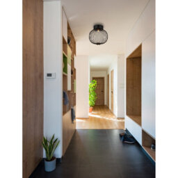 Luminosa Lighting Luminosa Galway 30Cm Globe Ceiling Light Matt Black Led 3000K - thumbnail 6