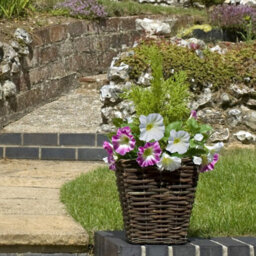 GreenBrokers Artificial Rattan Patio Planters With Pink & White Petunias & Cedar Topiary (Set Of 2) - thumbnail 3