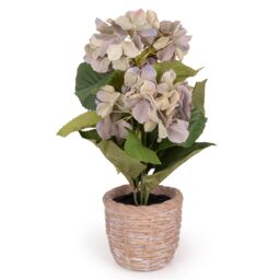 Candlelight Blue & Green 37Cm Hydrangea Pot With Artificial Plant In Natural Textured Concrete Pot - thumbnail 2