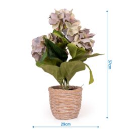 Candlelight Blue & Green 37Cm Hydrangea Pot With Artificial Plant In Natural Textured Concrete Pot - thumbnail 5
