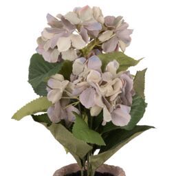 Candlelight Blue & Green 37Cm Hydrangea Pot With Artificial Plant In Natural Textured Concrete Pot - thumbnail 4
