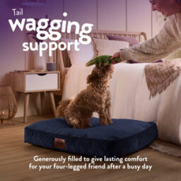 Slumberdown Paws For Slumber Padded Dog Bed Medium, Blue - thumbnail 3