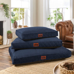 Slumberdown Paws For Slumber Padded Dog Bed Medium, Blue - thumbnail 1