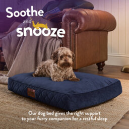 Slumberdown Paws For Slumber Padded Dog Bed Medium, Blue - thumbnail 4