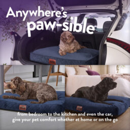 Slumberdown Paws For Slumber Padded Dog Bed Medium, Blue - thumbnail 7