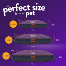 Slumberdown Paws For Slumber Padded Dog Bed Medium, Blue - thumbnail 9