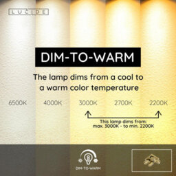 Lucide Nigel Modern Ceiling Spotlight - Led Dim To Warm - Gu10 - 4X5W 2200K/3000K - Matt Gold, Brass - thumbnail 8