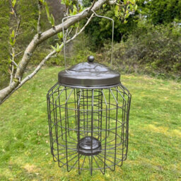 Selections Heavy Duty Squirrel Proof Hanging Bird Suet Fat Ball Feeder Cage (Set Of 2) - thumbnail 6