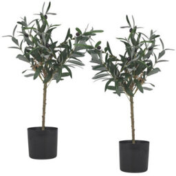 Urbn-Living Urbnliving 60Cm Height 2 Pcs Artificial Olive Tree Plant Greenery In Pot Indoor Outdoor Home Office Decor - thumbnail 1