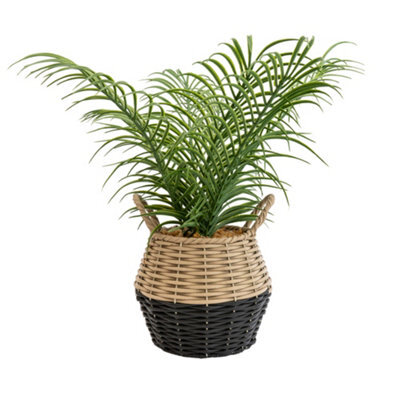 Candlelight Green 20Cm Palm Artificial Plant In Natural Wicker Basket - image 1