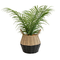 Candlelight Green 20Cm Palm Artificial Plant In Natural Wicker Basket - thumbnail 1
