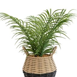 Candlelight Green 20Cm Palm Artificial Plant In Natural Wicker Basket - thumbnail 2