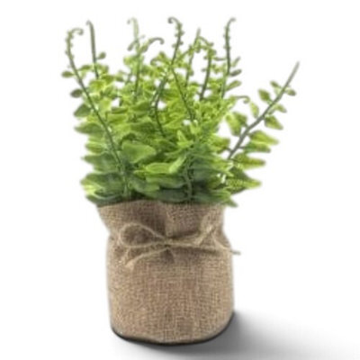 Heaven Sends Artificial Plant In Hessian Pot With Twine Bow, 18 X 9 X 9 Cm, Indoor Decorative Greenery