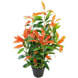80Cm Artificial Red Potted Realistic Indoor House Plant Decor - thumbnail 1