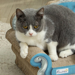 Pawhut Cat Scratching Board 2-In-1 Cardboard With Catnip, Blue - thumbnail 8