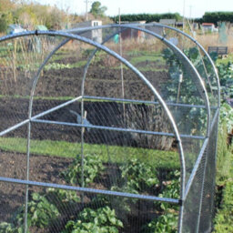 Gardening Naturally Domed Walk In Fruit Cage Black Bird Netting - 6M Long - thumbnail 3