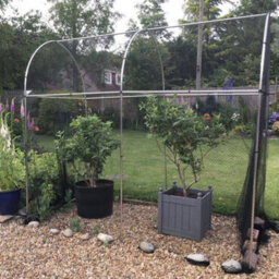 Gardening Naturally Domed Walk In Fruit Cage Black Bird Netting - 6M Long - thumbnail 2